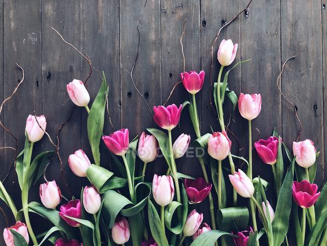 Рожеві тюльпани і гілки на дерев'яному столі — стокове фото