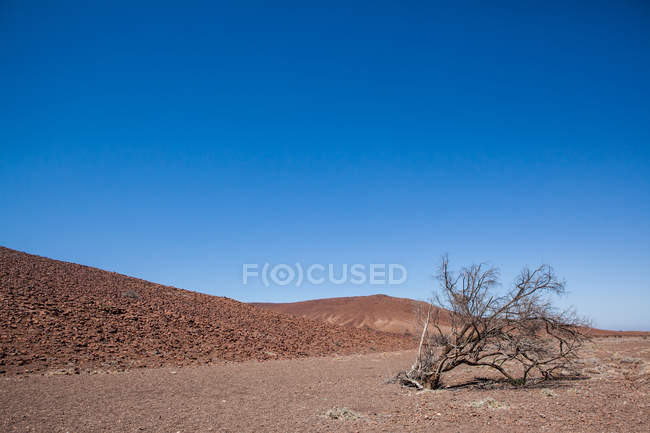 Живописный вид на пустынный ландшафт, Дамараланд, Намибия — стоковое фото