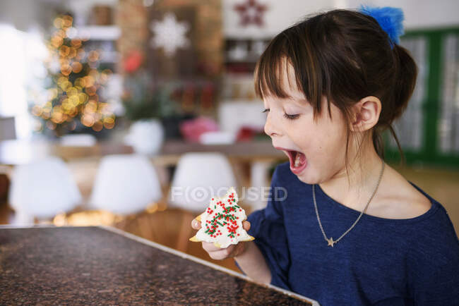 Girl about to eat a Christmas cookie — Stock Photo