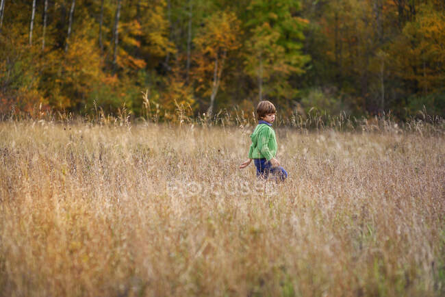 Мальчик, гуляющий в поле осенним днем — стоковое фото
