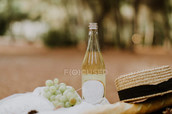 Uvas, vinho branco, baguete e chapéu de palha em um tapete de piquenique — Fotografia de Stock