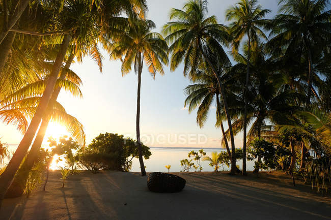 Vista panorâmica da cadeira na praia ao pôr do sol, Taiti, Polinésia Francesa — Fotografia de Stock