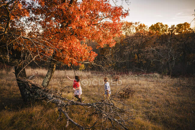 Junge und Mädchen spielen in einer ländlichen Landschaft — Stockfoto