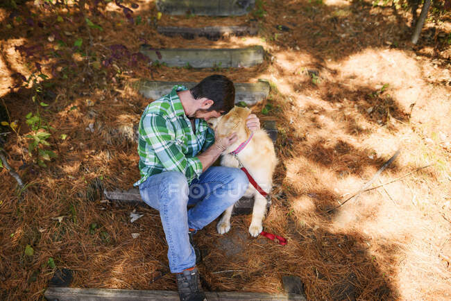 Человек и его собаки сидят на лестнице в осеннем парке — стоковое фото