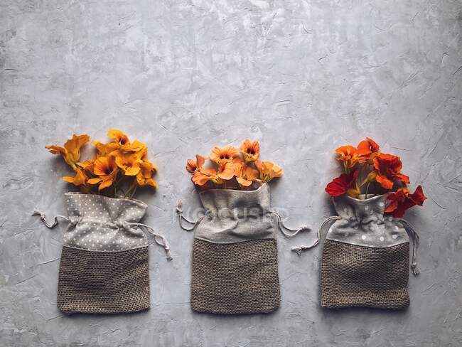 Flores de capuchina en tres bolsas hessianas - foto de stock