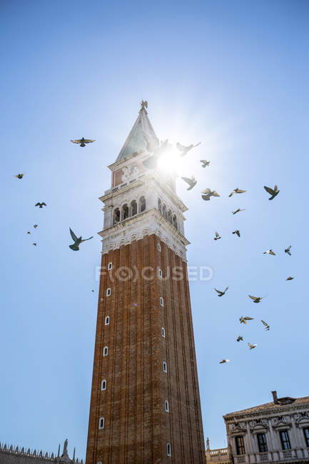 Vista panorâmica da Bell Tower, Praça de São Marcos, Veneza, Itália — Fotografia de Stock