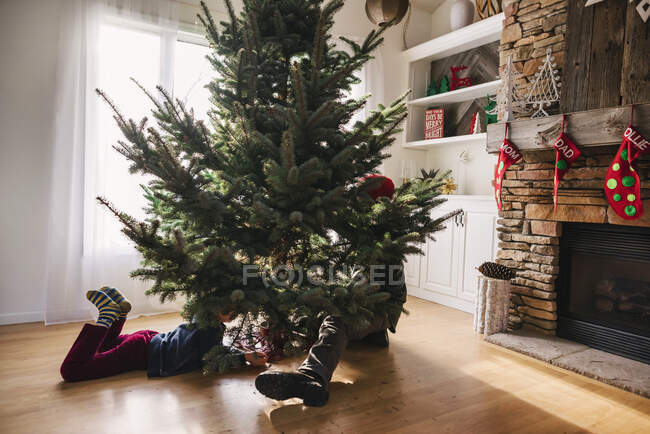 Garçon aider son père à mettre en place un arbre de Noël — Photo de stock