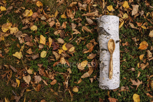 Nahaufnahme eines geschnitzten Löffels, der auf einem Baumstamm liegt — Stockfoto