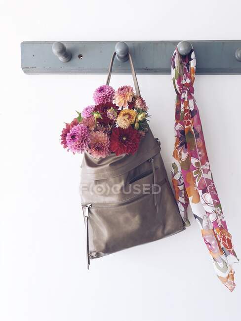 Dahlia fiori in una borsa appesa a un appendiabiti con una sciarpa — Foto stock