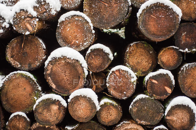 Полный кадр из кучи дров, покрытой снегом — стоковое фото