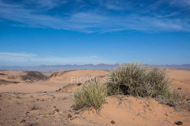 Vista panorámica del paisaje de montaña, Damaraland, Namibia - foto de stock