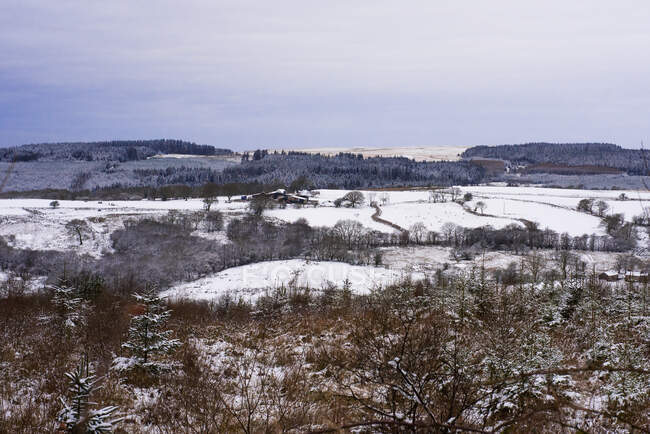Vue panoramique de la forêt d'hiver dans les collines par temps nuageux — Photo de stock