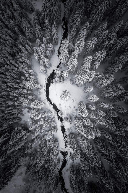 Vista aérea da floresta nevada em montanhas com pequeno rio — Fotografia de Stock