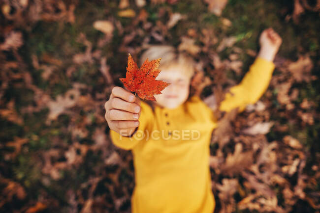 Overhead of young boy playing in fall leaves — Stock Photo