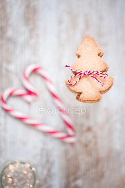 Christmas cookies and candy cane, closeup view — Stock Photo