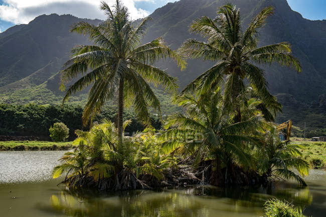Мальовничий вид на гірський ландшафт, Гаваї, Америка, США — стокове фото