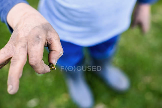 Крупный план мальчика, держащего жука, обрезанного — стоковое фото