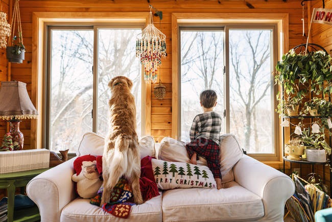 Menino e cão golden retriever em pé no sofá olhando para fora da janela — Fotografia de Stock