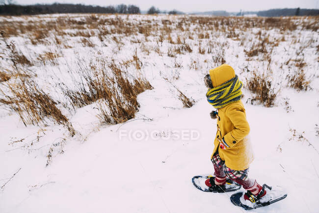 Ragazza che cammina sulla neve con le ciaspole — Foto stock
