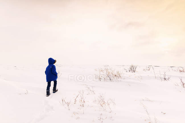Niño caminando en la nieve en invierno, vista trasera - foto de stock