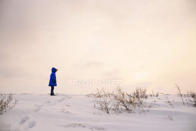 Menino de pé na paisagem de inverno na natureza — Fotografia de Stock