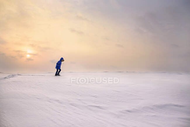 Boy walking in winter landscape on nature - foto de stock