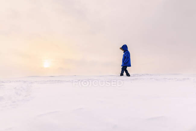 Хлопчик ходить в зимовому пейзажі — стокове фото
