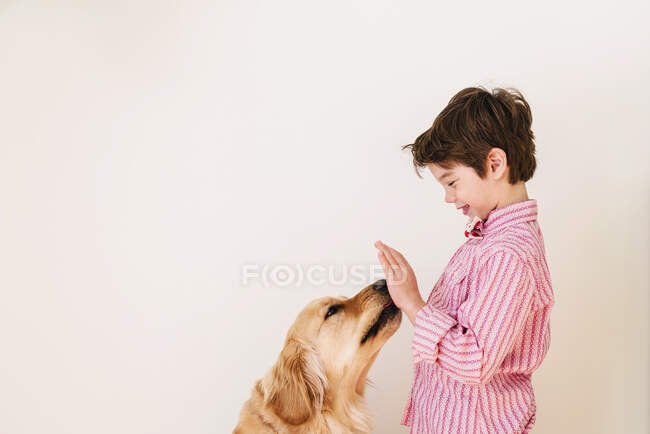 Golden retriever perro lamiendo la mano de un niño - foto de stock