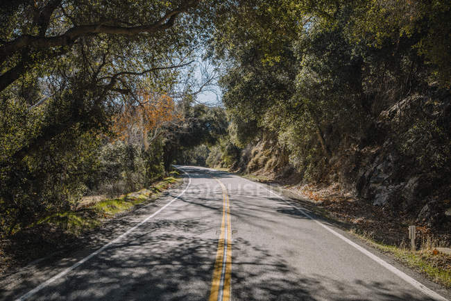 Живописный вид на Treelined Road, Лос-Анджелес, Калифорния, Америка, США — стоковое фото