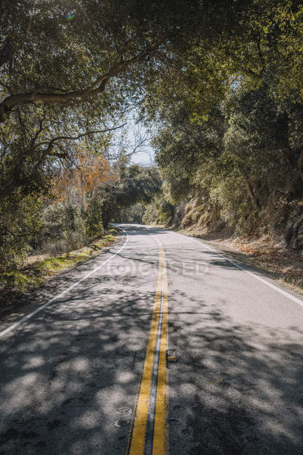 Vista panorámica de Treelined road, Los Angeles, California, America, USA - foto de stock