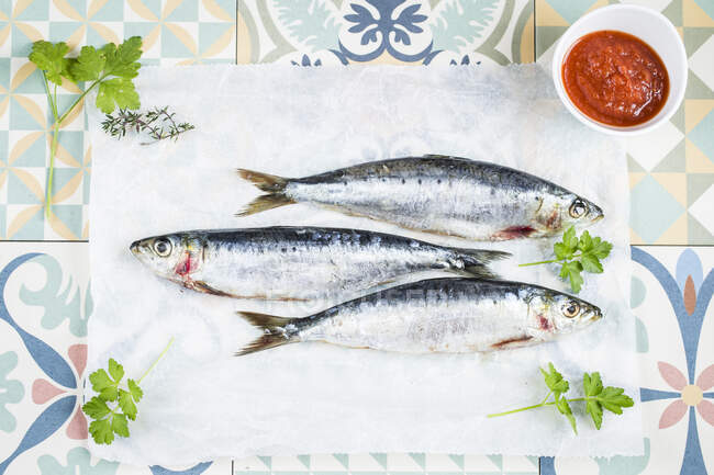 Three fresh sardines with tomato  and parsley — Stock Photo