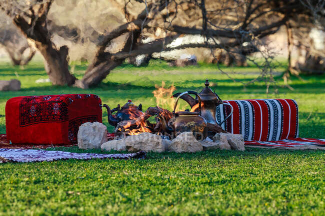 Пикник в парке — стоковое фото