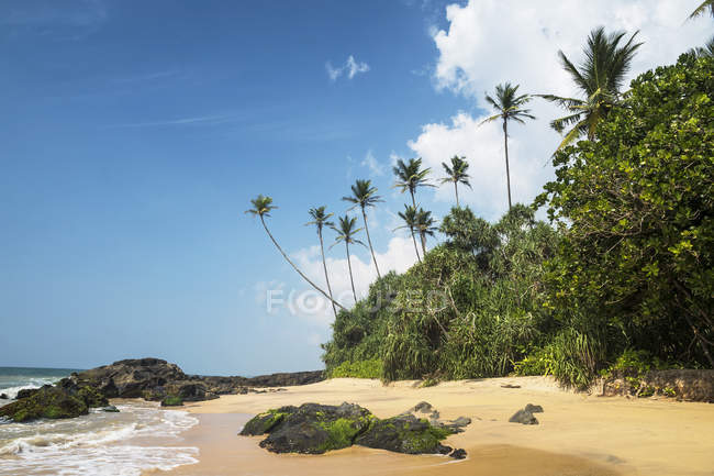 Vista panoramica sulla spiaggia tropicale, Wellamadama, Matara, Provincia meridionale, Sri Lanka — Foto stock