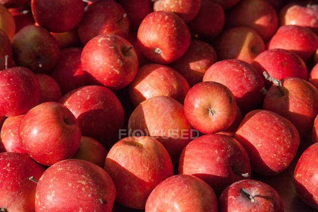 Крупный план стопки яблок Фудзи на рынке — стоковое фото