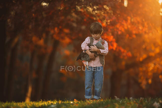Niño parado al aire libre abrazando a un pollo, Estados Unidos - foto de stock