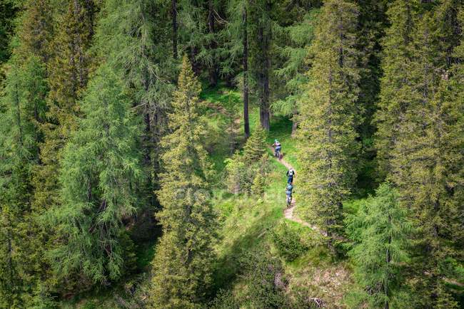 Três pessoas de bicicleta de montanha, Parque Nacional Fanes-Sennes-Braies, Dolomitas, Trentino, Tirol do Sul, Itália — Fotografia de Stock