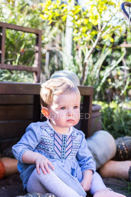 Retrato de una niña sentada en un banco de jardín junto a calabazas de Halloween, Sydney, Nueva Gales del Sur, Australia - foto de stock