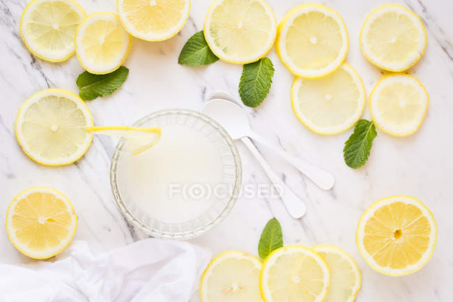 Limonada con limón fresco y menta - foto de stock