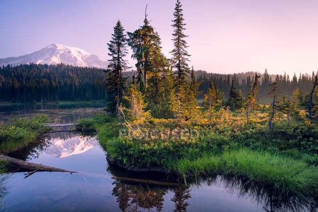 Vista panoramica della riflessione montana in un lago, Mount Rainier National Park, Washington, America, Stati Uniti — Foto stock