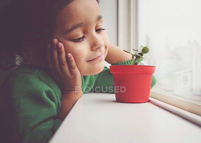 Girl looking at a plant growing on her window sill — Stock Photo