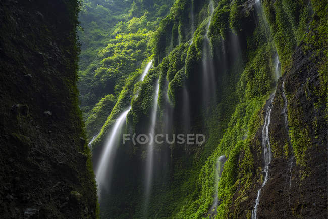 Живописный вид на водопад Мадакарипура, Восточная Ява, Индонезия — стоковое фото
