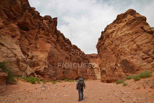 Homme debout devant Happy Canyon, Hanksville, Utah, Amérique, USA — Photo de stock