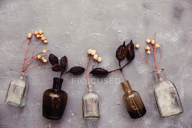 Vue en closeup des fleurs séchées dans des bouteilles en verre — Photo de stock