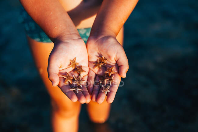 Детские руки с маленькими морскими звездами — стоковое фото
