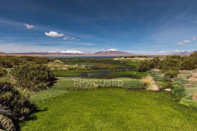 Vista panoramica di Tara Salt Flats, San Pedro de Atacama, Antofagasta, Cile — Foto stock