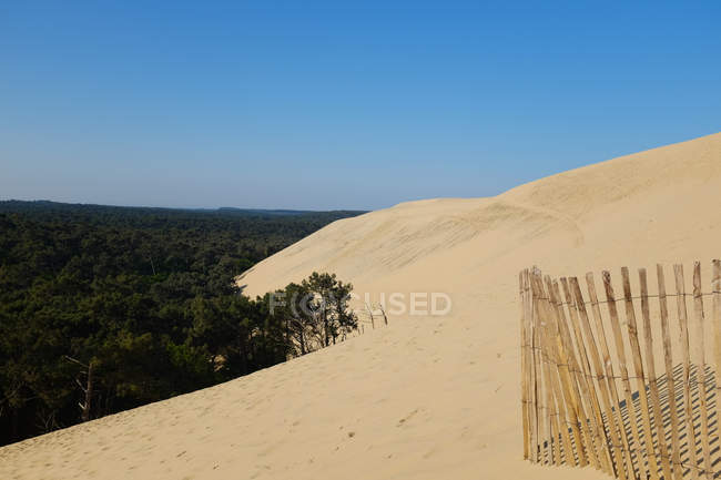 Dune of Pilat and forest landscape, La Teste-de-Buch, Arachon, Nouvelle-Aquitaine, France — Stock Photo