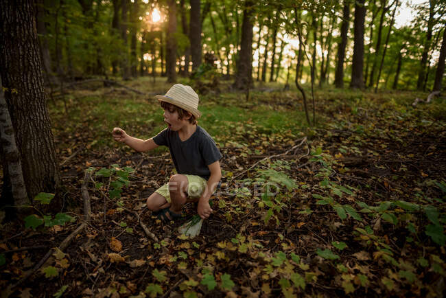 Chico excitado encontrando bellotas en el bosque - foto de stock