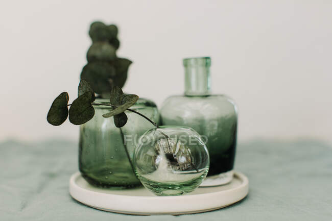 Primo piano vista di vasi di vetro con eucalipto — Foto stock