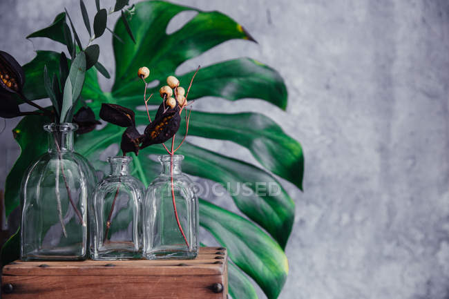 Scatola rustica in legno con vasi e piante di vetro — Foto stock