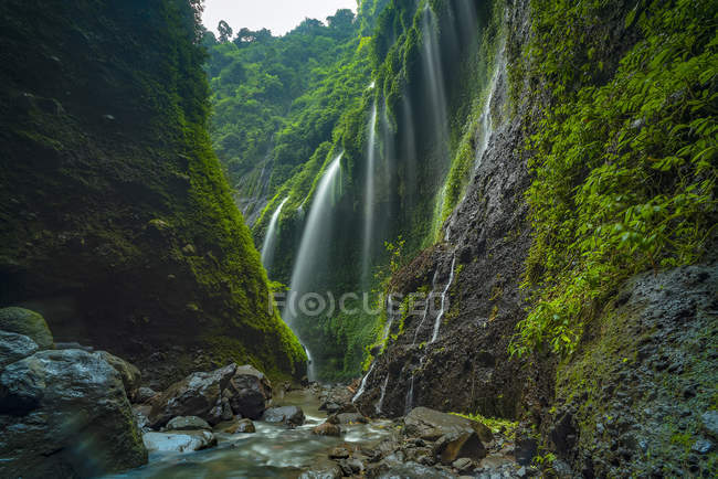 Vue panoramique sur la cascade de Madakaripura, Java Est, Indonésie — Photo de stock